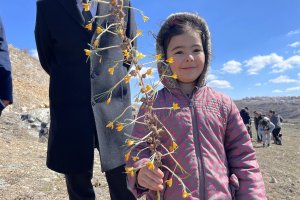 Öğrenciler, çiğdem toplama etkinliğine katıldı
