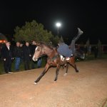 Çorum Tarihinin En Büyük Atlı Etkinliği