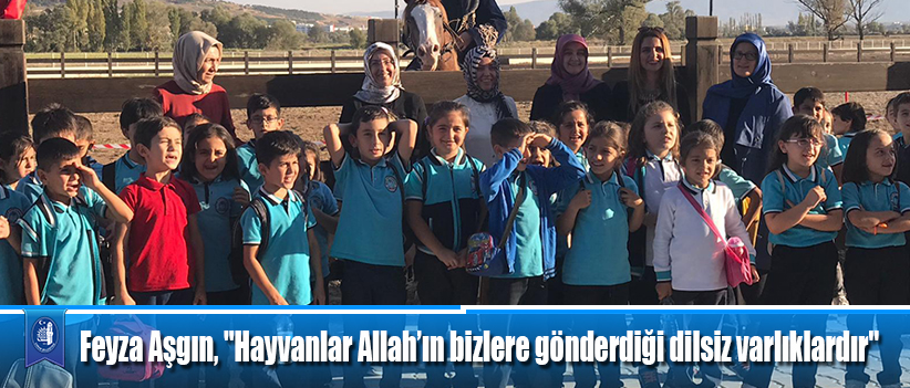 Feyza Aşgın, "Hayvanlar Allah’ın bizlere gönderdiği dilsiz varlıklardır"
