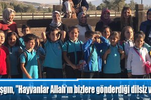 Feyza Aşgın, "Hayvanlar Allah’ın bizlere gönderdiği dilsiz varlıklardır"