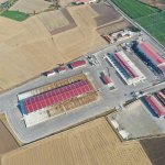 Hayvan Pazarındaki padoklar kiralanmaya başlıyor