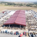 Belediyemizden hayvan pazarına ücretsiz servis