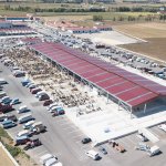 Hayvan Pazarına ulaşım kolaylığı