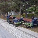 Belediyemiz, Çorum’u 150 bin lale ve sümbülle donatıyor