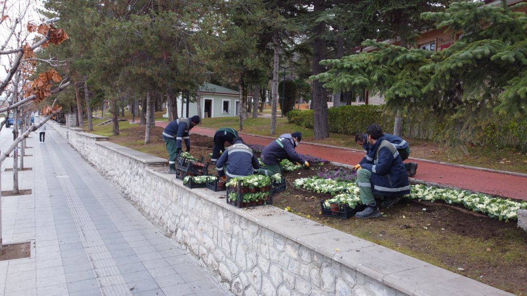 Belediyemiz, Çorum’u 150 bin lale ve sümbülle donatıyor