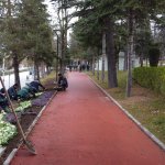 Belediyemiz, Çorum’u 150 bin lale ve sümbülle donatıyor