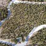 Bahabey Çamlığına 8 bin metre kilit taşı