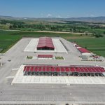 Hayvan Pazarı yeniden açılıyor