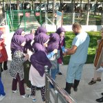 İyilik Atölyesi,  hayvanları ziyaret etti