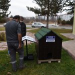 Sokağın hayvanına başkan sahip çıktı