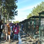 İyilik Atölyesi,  hayvanları ziyaret etti