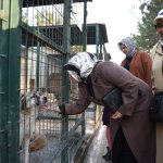 Kadın Meclisi Üyeleri duyarlılık örneği