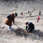 180 Kadın 180 Fidan