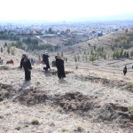 180 Kadın 180 Fidan