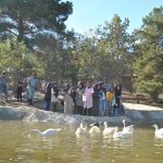 İyilik Atölyesi,  hayvanları ziyaret etti