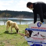 İhbarlara karşı Veteriner İşleri ekipleri 7/24 nöbette