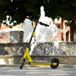 Çorum, Tazı’yı sevdi