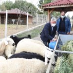 “Hayvanları Koruma Günü” Kutlandı