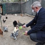 “Hayvanları Koruma Günü” Kutlandı