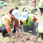 Kuraklığa karşı fidan diktiler