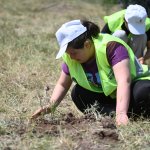 Kuraklığa karşı fidan diktiler