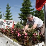 Belediye, Çorum Şehitliği'ni çiçeklerle donattı