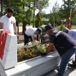 Belediye, Çorum Şehitliği'ni çiçeklerle donattı