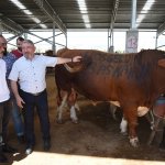 Başkan Aşgın, Hayvan Pazarını ziyaret etti