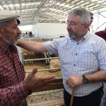 Başkan Aşgın, Hayvan Pazarını ziyaret etti