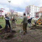 “Yeşil bir Çorum için çalışıyoruz”