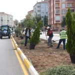 Fevzi Çakmak 3. Cadde de ağaç dikim çalışması