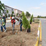 Fevzi Çakmak 3. Cadde de ağaç dikim çalışması