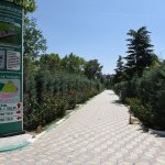 Basın Açıklaması