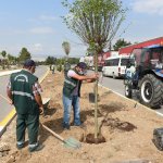 Fevzi Çakmak 3. Cadde de ağaç dikim çalışması