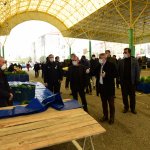 3 pazar haftada 3 gün açılacak