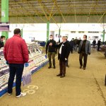 3 pazar haftada 3 gün açılacak