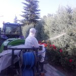 Ulu Mezarlıkta hummalı çalışma