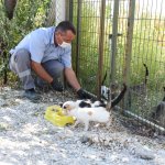 Çorum’da Sokak hayvanı popülâsyonu düzene sokulacak