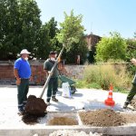 Recep Tayyip Erdoğan Caddesi ‘Ihlamur’ Kokacak
