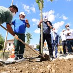 Recep Tayyip Erdoğan Caddesi ‘Ihlamur’ Kokacak