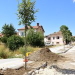 Recep Tayyip Erdoğan Caddesi ‘Ihlamur’ Kokacak