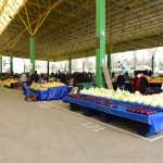 Belediyemiz, işi sıkı tutuyor