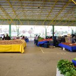 Belediyemiz, işi sıkı tutuyor