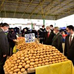 Belediyemiz, işi sıkı tutuyor