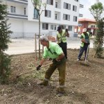 Park ve Bahçeler yoğun tempoda çalışıyor