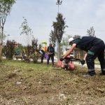 Park ve Bahçeler yoğun tempoda çalışıyor