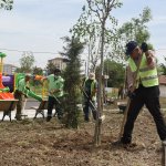 Park ve Bahçeler yoğun tempoda çalışıyor