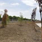 Spor salonlarında son hazırlıklar yapılıyor