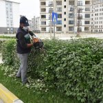 Park ve Bahçeler yoğun tempoda çalışıyor