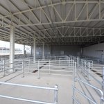 Hayvan Pazarındaki padoklar kiralanmaya başlıyor